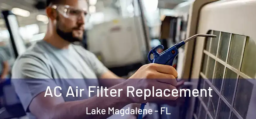 AC Air Filter Replacement Lake Magdalene - FL