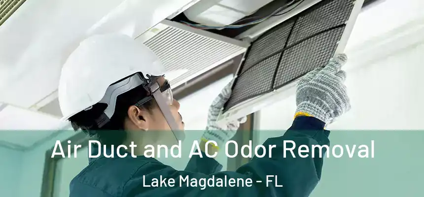  Air Duct and AC Odor Removal Lake Magdalene - FL