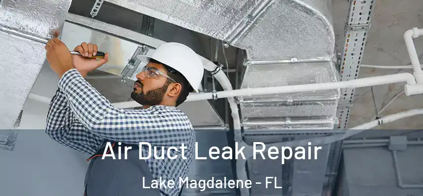 Air Duct Leak Repair Lake Magdalene - FL