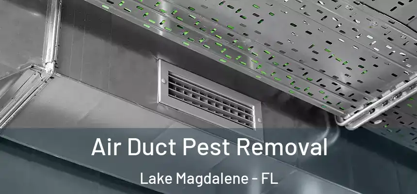 Air Duct Pest Removal Lake Magdalene - FL