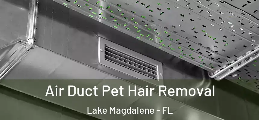 Air Duct Pet Hair Removal Lake Magdalene - FL
