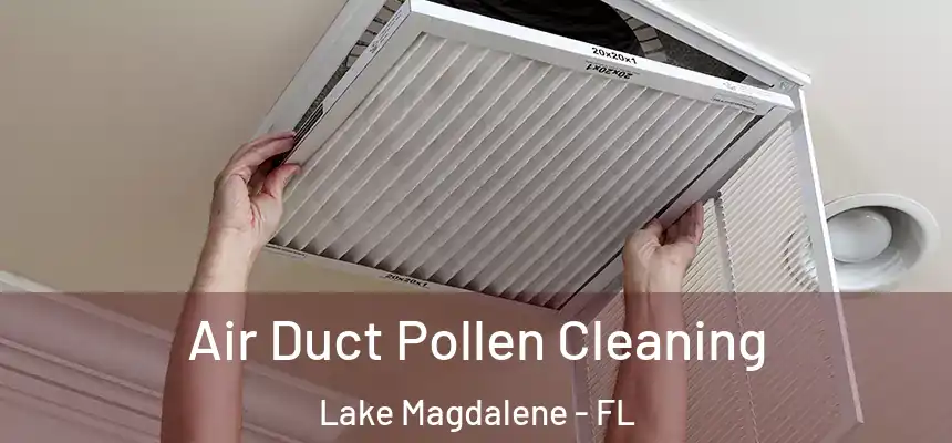 Air Duct Pollen Cleaning Lake Magdalene - FL