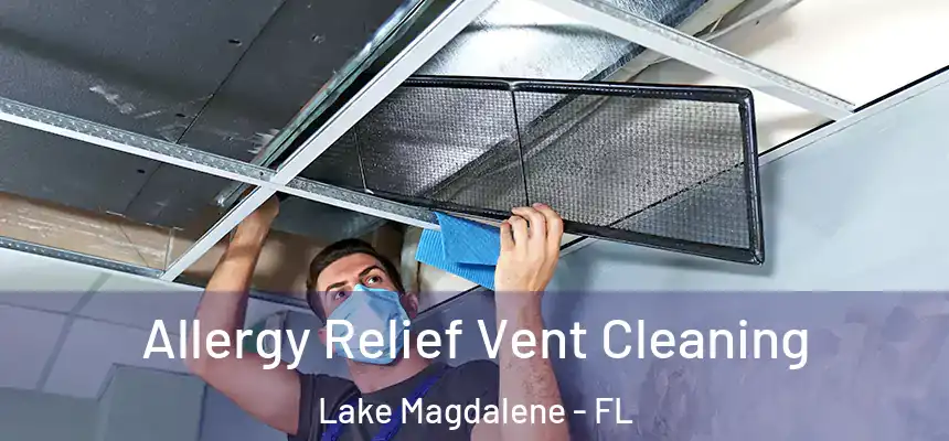  Allergy Relief Vent Cleaning Lake Magdalene - FL