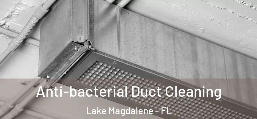 Anti-bacterial Duct Cleaning Lake Magdalene - FL