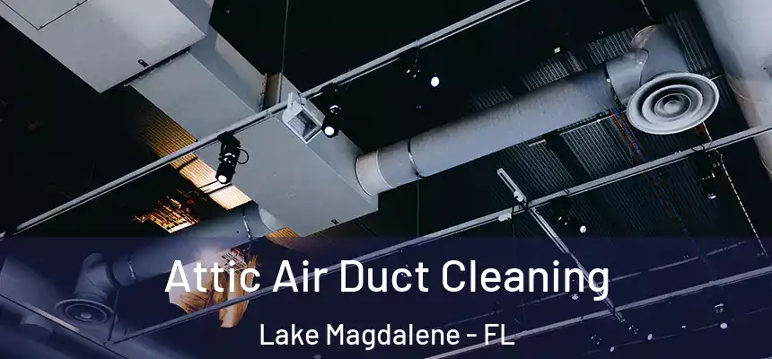 Attic Air Duct Cleaning Lake Magdalene - FL