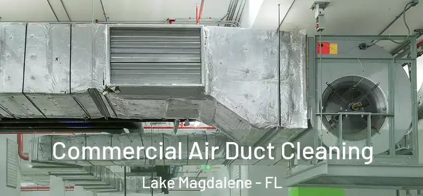 Commercial Air Duct Cleaning Lake Magdalene - FL