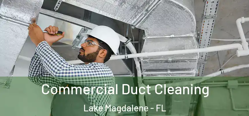 Commercial Duct Cleaning Lake Magdalene - FL