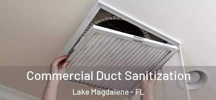  Commercial Duct Sanitization Lake Magdalene - FL