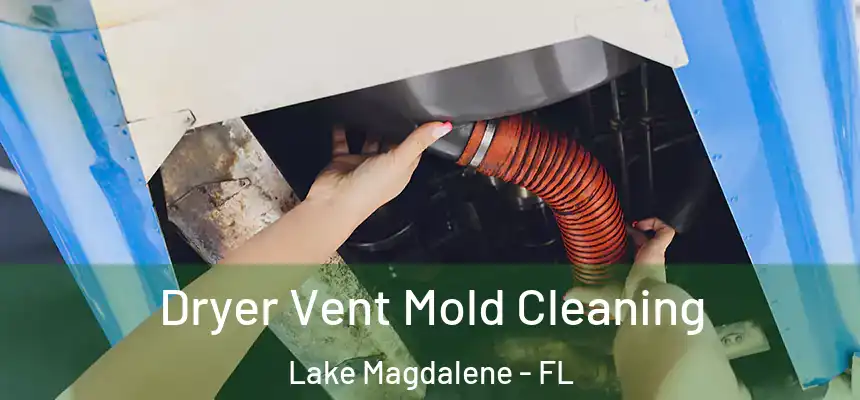  Dryer Vent Mold Cleaning Lake Magdalene - FL