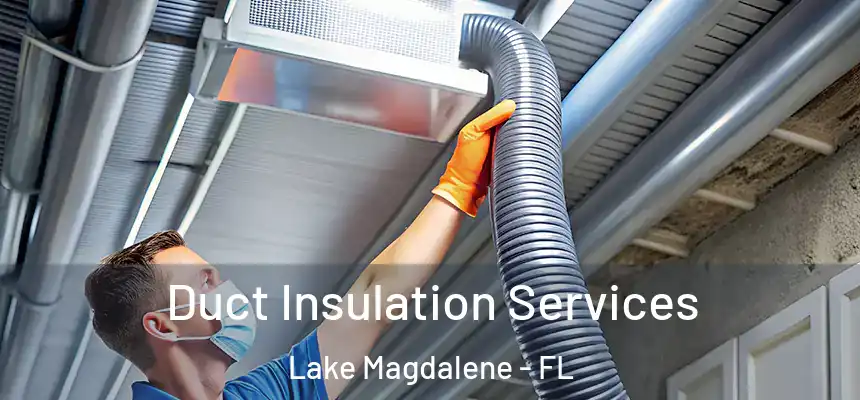 Duct Insulation Services Lake Magdalene - FL