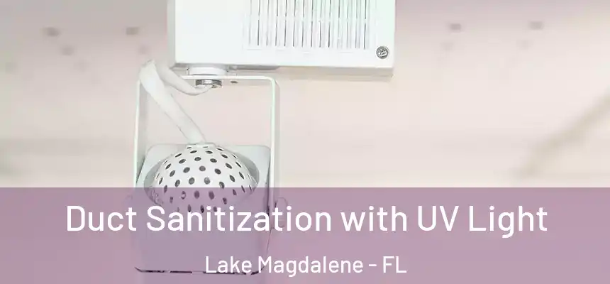 Duct Sanitization with UV Light Lake Magdalene - FL