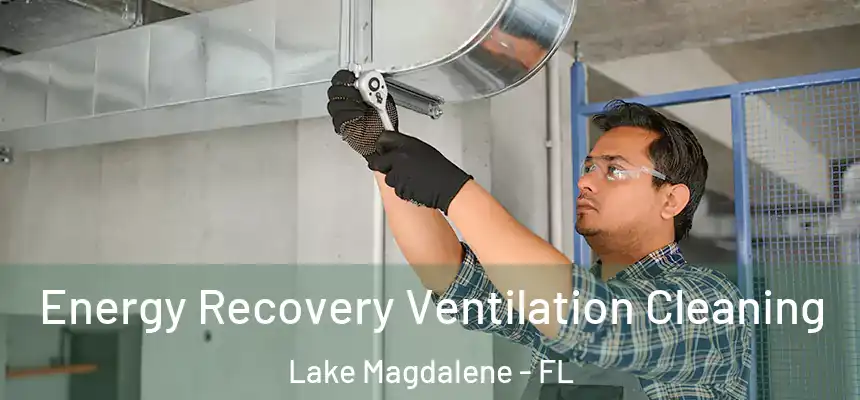 Energy Recovery Ventilation Cleaning Lake Magdalene - FL