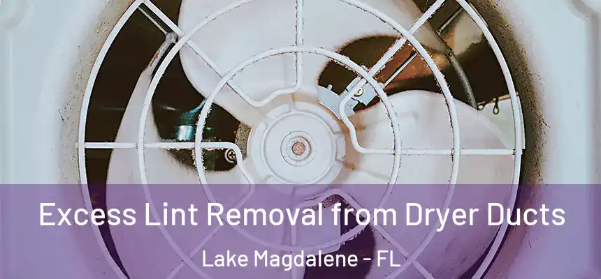 Excess Lint Removal from Dryer Ducts Lake Magdalene - FL
