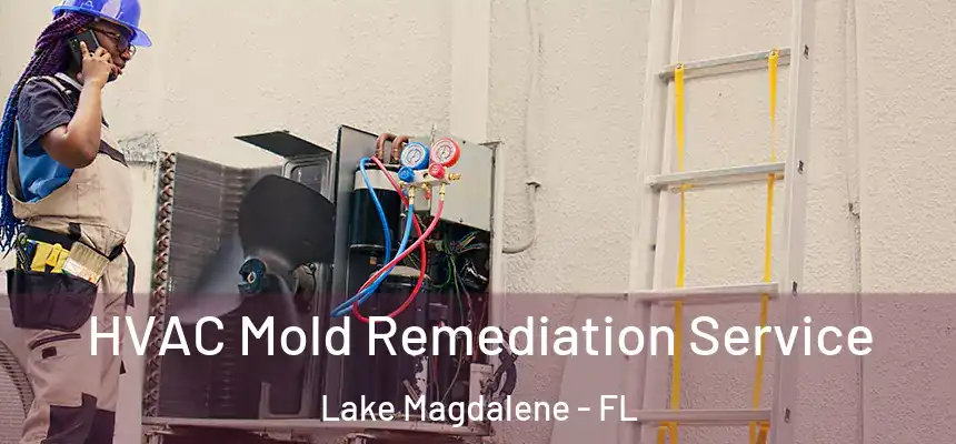 HVAC Mold Remediation Service Lake Magdalene - FL