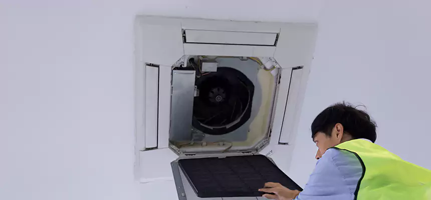Our Dryer Vent Sanitization Service Services in Lake Magdalene, FL