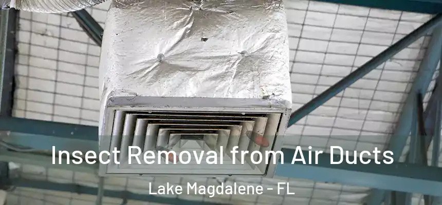  Insect Removal from Air Ducts Lake Magdalene - FL