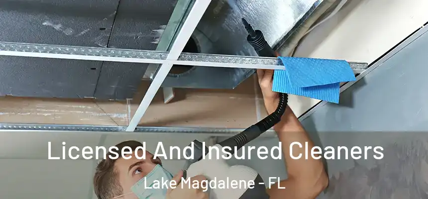 Licensed And Insured Cleaners Lake Magdalene - FL