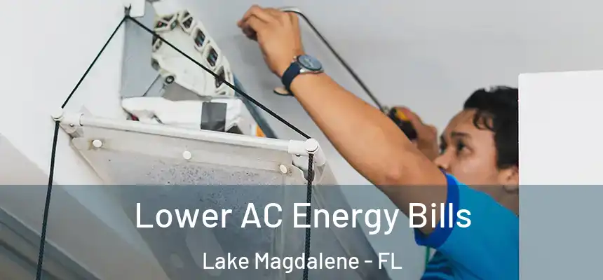  Lower AC Energy Bills Lake Magdalene - FL