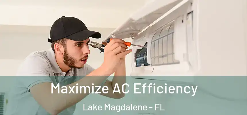 Maximize AC Efficiency Lake Magdalene - FL