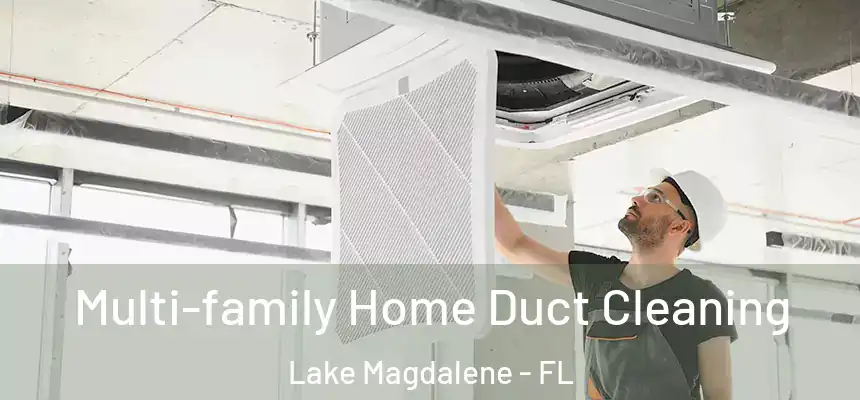 Multi-family Home Duct Cleaning Lake Magdalene - FL