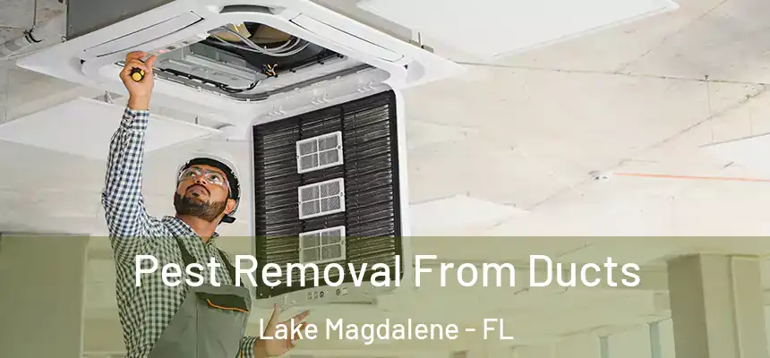 Pest Removal From Ducts Lake Magdalene - FL