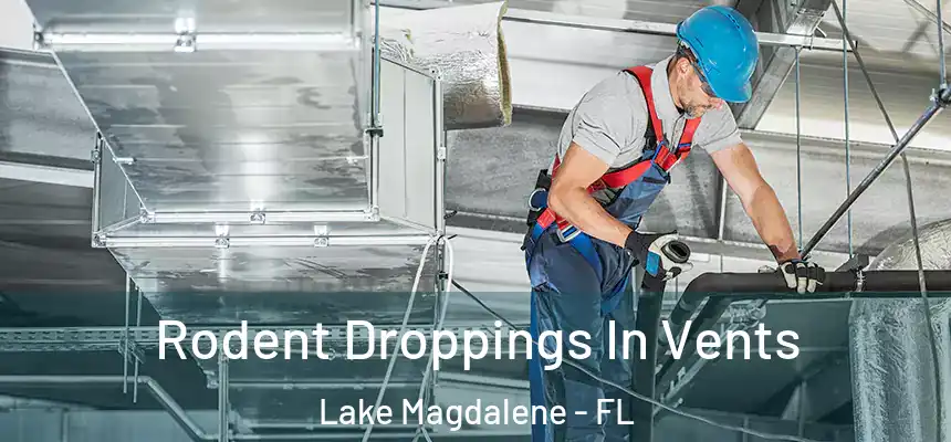 Rodent Droppings In Vents Lake Magdalene - FL