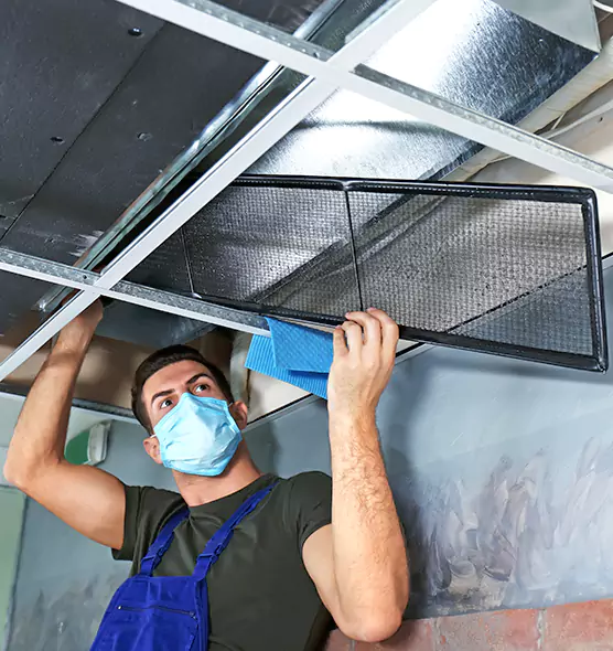 About Air Duct Bacteria Removal in Lake Magdalene