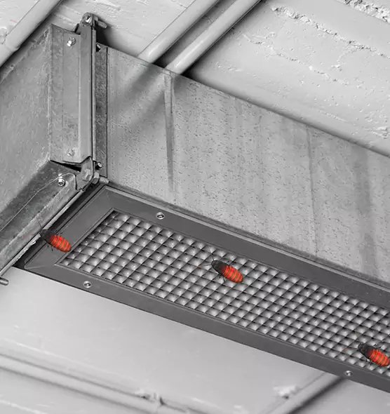 Affordable Insect Removal from Air Ducts in Lake Magdalene, FL