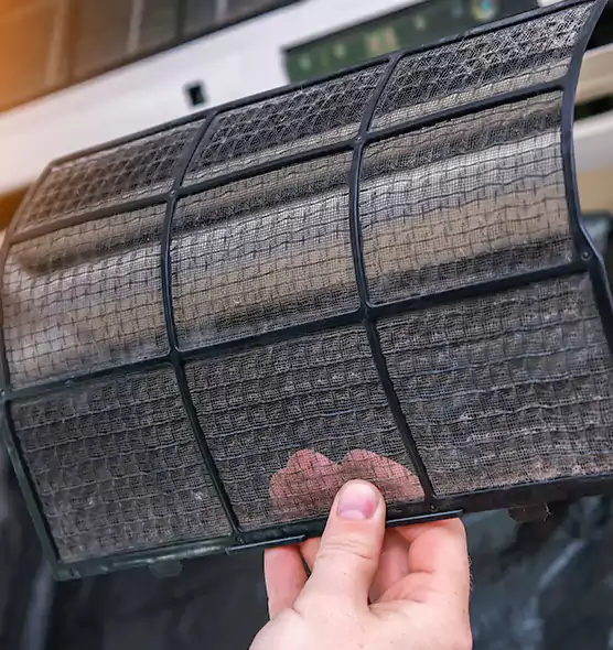About Pet Dander Duct Cleaning in Lake Magdalene, FL