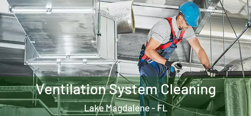 Ventilation System Cleaning Lake Magdalene - FL