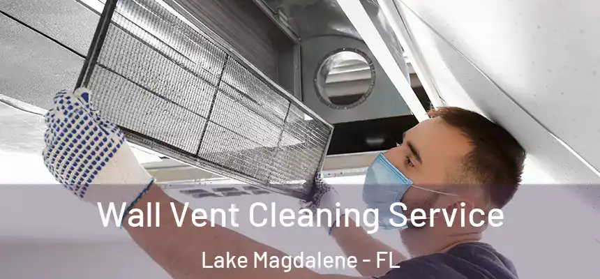  Wall Vent Cleaning Service Lake Magdalene - FL