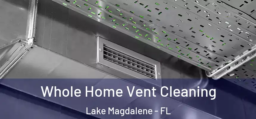 Whole Home Vent Cleaning Lake Magdalene - FL