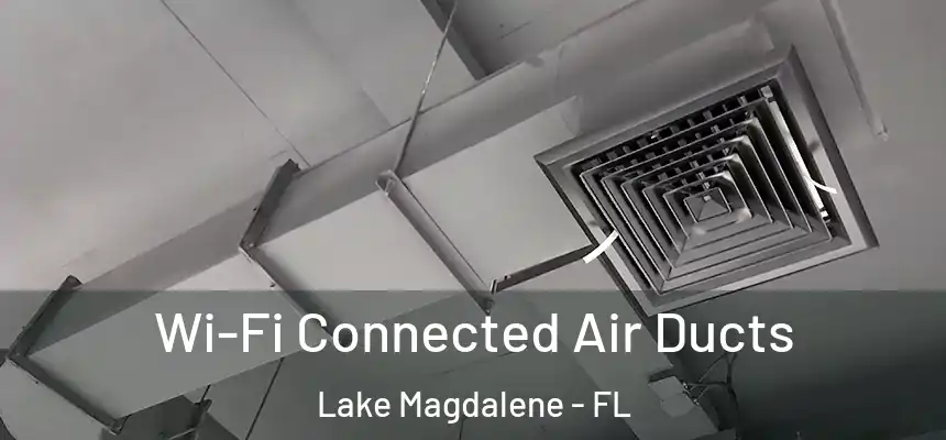 Wi-Fi Connected Air Ducts Lake Magdalene - FL